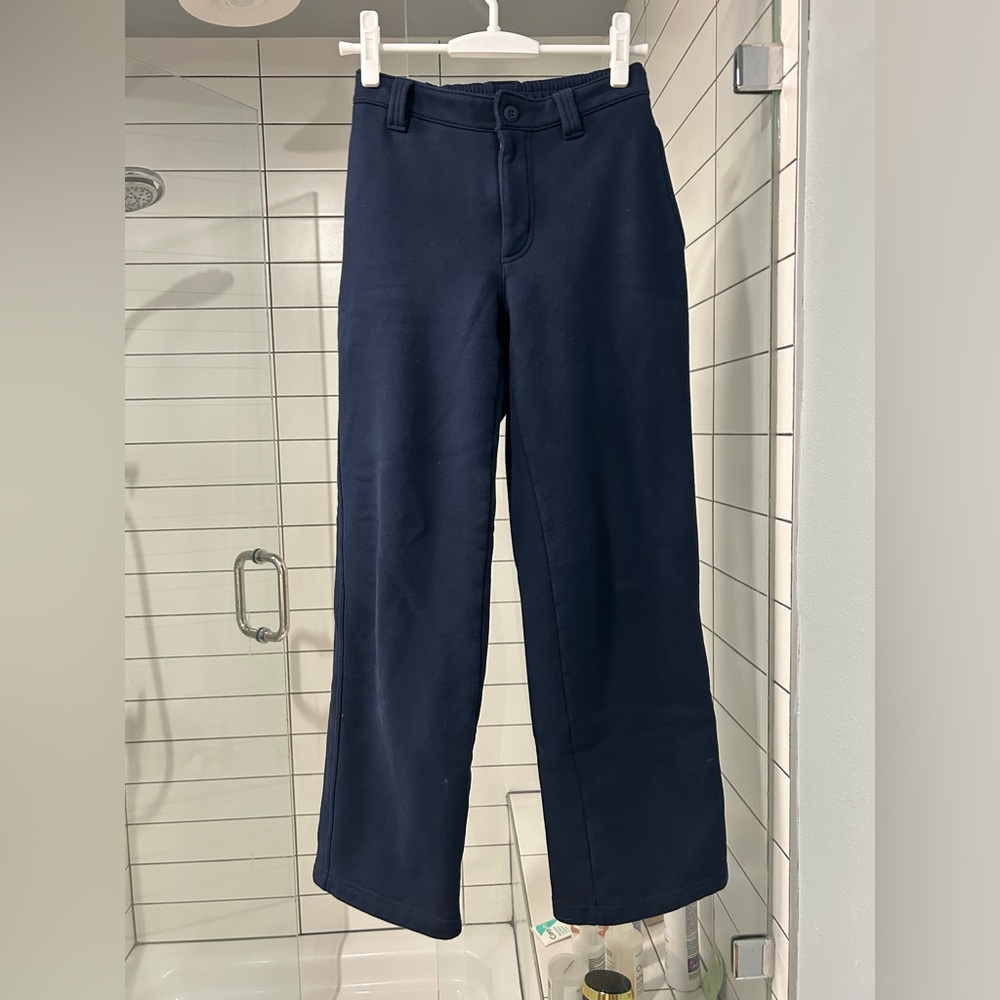 Aritzia Navy Track Pants